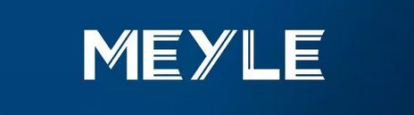 Meyle - hodnocení výrobce a zkušenost s náhradními díly